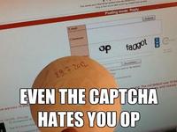 OP is a Faggot