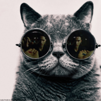 Matrix Morpheus