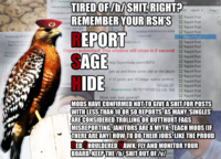 4chan