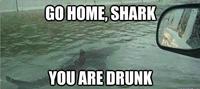 Go Home, You Are Drunk