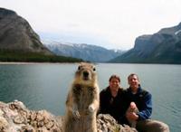Photobombing