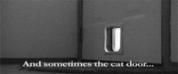 Henri, Le Chat Noir