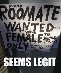 Seems Legit / Sounds Legit