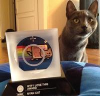 Nyan Cat / Pop Tart Cat