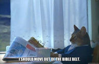 I Should Buy a Boat Cat