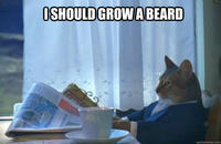 I Should Buy a Boat Cat