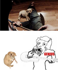 Genius
