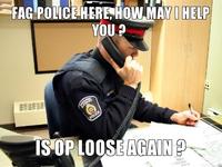 OP is a Faggot