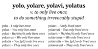 YOLO