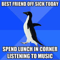 Socially Awkward Penguin