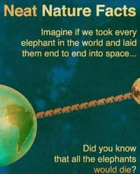 Did You Know?