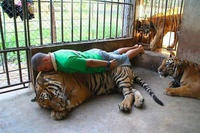 Planking
