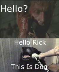 Yes, This is Dog