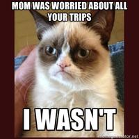 Mom Was Worried, I Sent Her This Picture