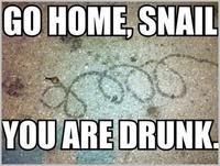Go Home, You Are Drunk