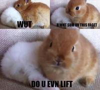 Do You Even Lift?