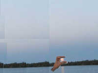 Can You Please Photoshop The Sun Between My Fingers?