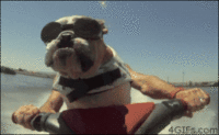 Deal With It