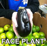 Facepalm