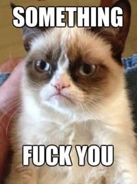 Grumpy Cat