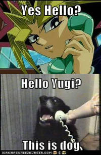 Yes, This is Dog