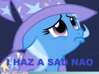 Pony Reactions