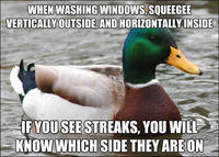 Actual Advice Mallard