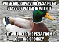 Actual Advice Mallard