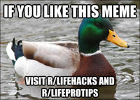Actual Advice Mallard