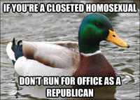 Actual Advice Mallard