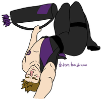 The Hawkeye Initiative