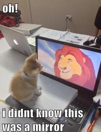 LOLcats