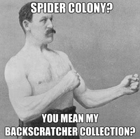 Overly Manly Man