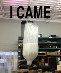 I Came