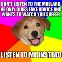 Actual Advice Mallard