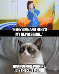 Grumpy Cat