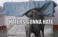 Haters Gonna Hate