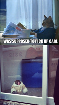 IKEA Monkey