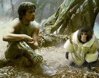 IKEA Monkey