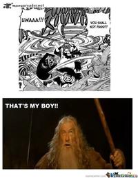 You Shall Not Pass!!!