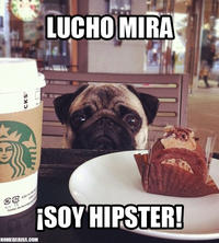 Oye Lucho, El perro del lucho