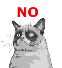Grumpy Cat