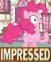 Pony Reactions