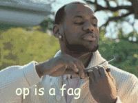 OP is a Faggot