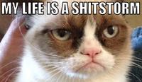 Grumpy Cat