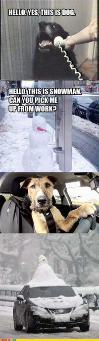Yes, This is Dog