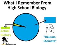 Rage Comics