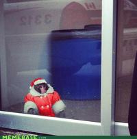 IKEA Monkey