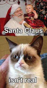 Grumpy Cat