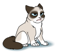 Grumpy Cat